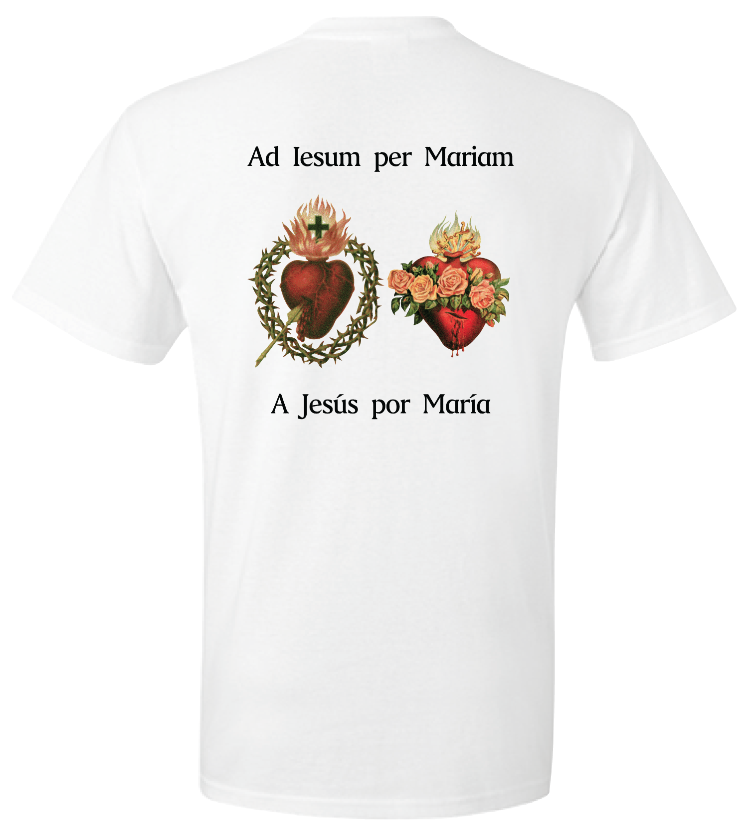 133371-SacredHeartsOfJesusAndMary